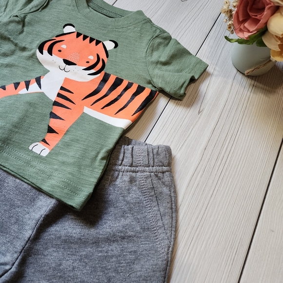 Carter's green short sleeve shirt with grey shorts 2 piece set Size 3 mo NWT - Picture 4 of 8